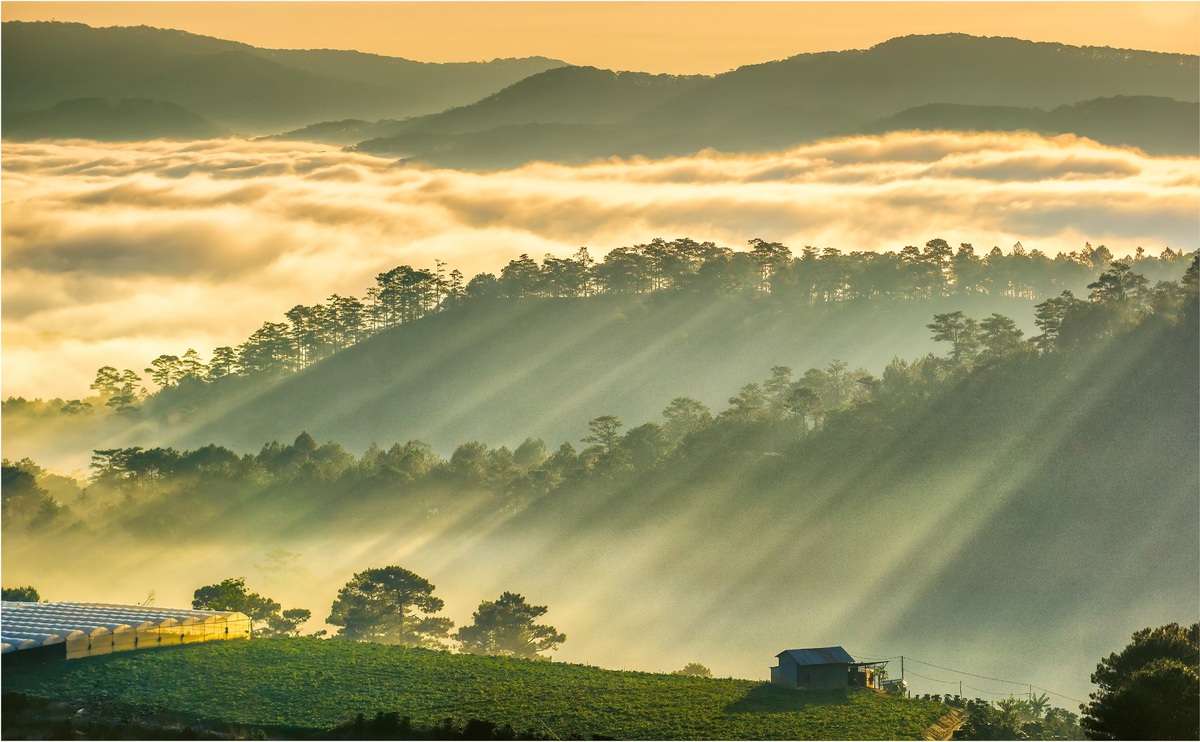 Du lịch hè ở Đà Lạt vi vu muôn nơi ngắm cảnh đẹp