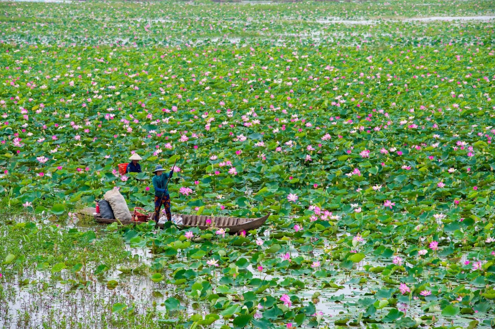 Về địa điểm du lịch miền Tây mùa nước nổi, bạn có thể tham khảo một số gợi ý sau