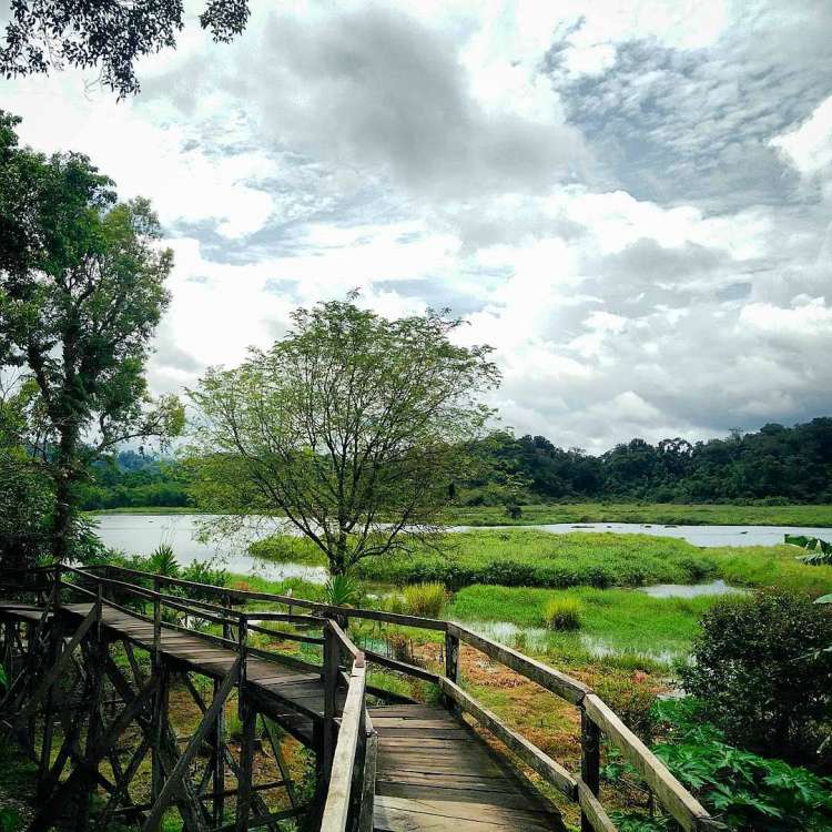Vườn Quốc gia Nam Cát Tiên Đồng Nai