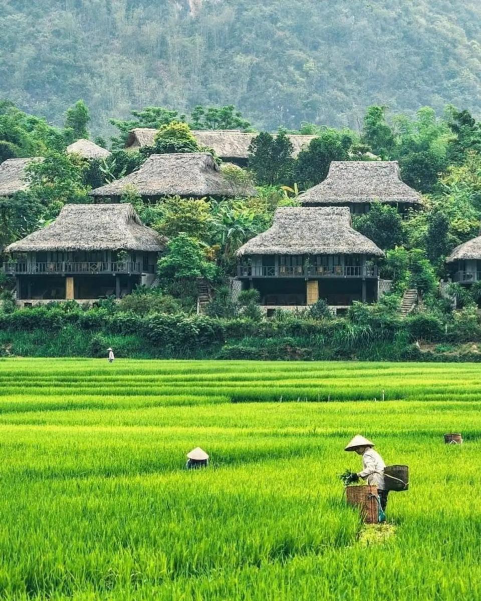 Du lịch mùa thu Tây Bắc - Mai Châu