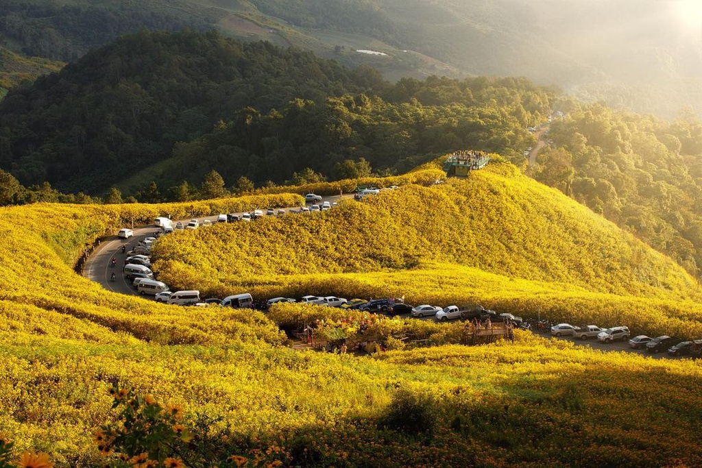 CUNG ĐƯỜNG THÁI LAN MÙA THU NGẬP TRÀN SẮC HOA DÃ QUỲ Ở PAI – MAE HONG SON